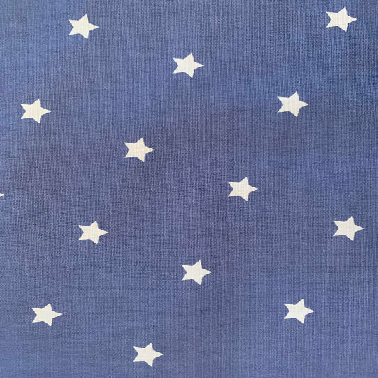 Remnant 0036 - Prestigious Textiles Twinkle Denim