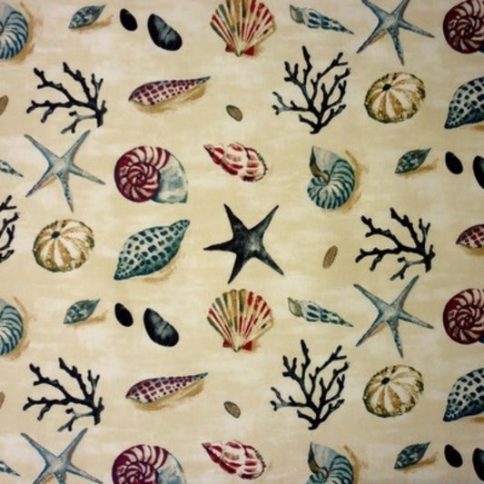Remnant 0035 - PT Westwood Ho - Sea Shells Sea Spray